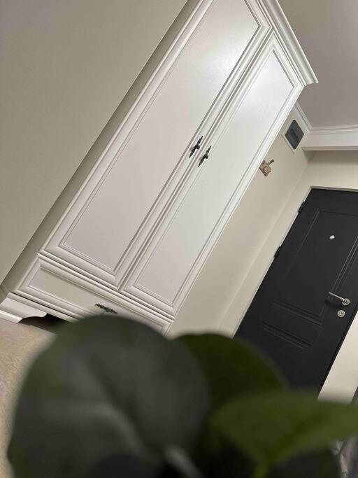 Apartament Z Timisoara Διαμέρισμα Εξωτερικό φωτογραφία